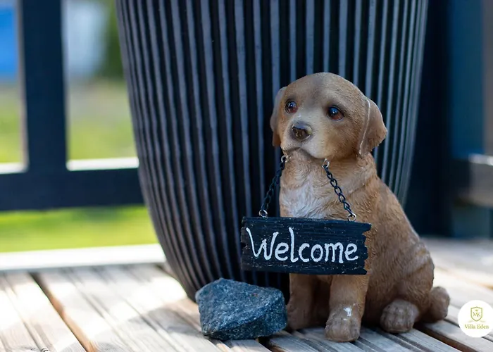 Villa Eden - Design-sea-pool-sauna *